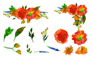 Blossom Watercolor Florals: Illustrations Review