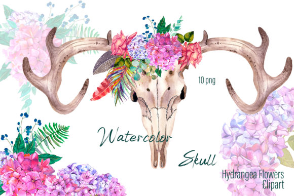 Boho Skull & Flowers Illustrations for Brands