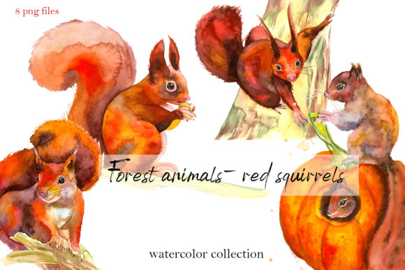 Forest Animals Red Squirrels. Watercolor Illustrations