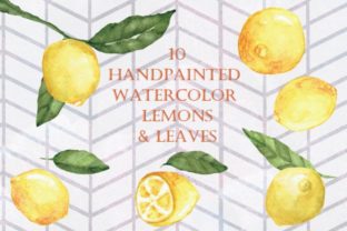 Handpainted Watercolor Lemons & Illustrations
