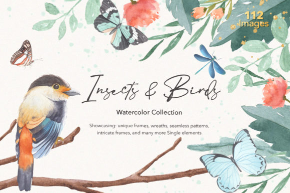Insects Birds Watercolor Collections & Illustrations