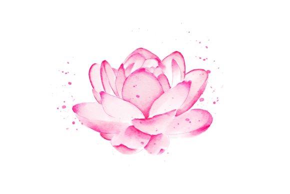 Lotus Flower Watercolor Realistic PNG Illustrations