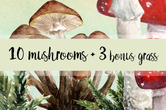 Review: 10 Watercolor Mushroom Set 3 Bonus