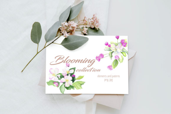 Watercolor Apple Blooming Collection Illustrations