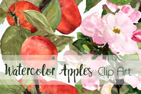 Watercolor Apples Clip Art Set: A Designer Review