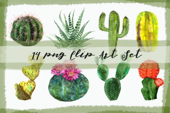 Watercolor Cactuses Clip Art Set Review