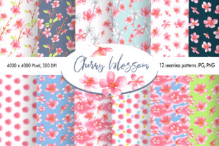 Watercolor Cherry Blossom Illustrations Review