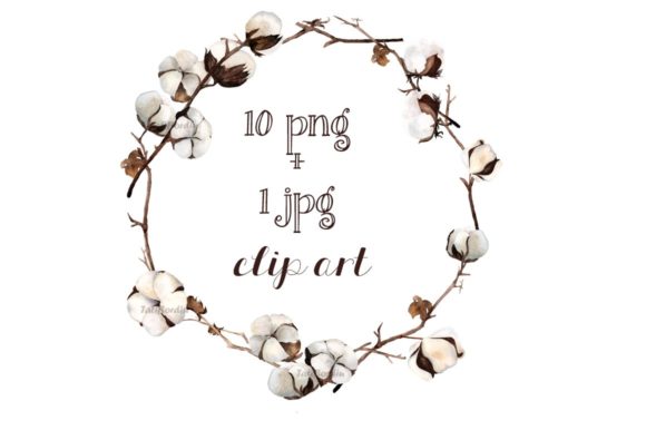 Watercolor Cotton Clip Art & Illustrations