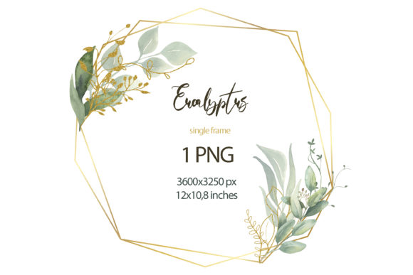Watercolor Eucalyptus Frame Clipart & Illustrations