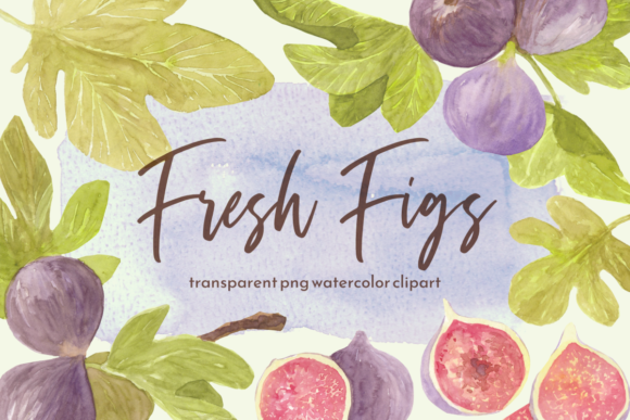 Watercolor Figs Clipart Set: A Designer Review