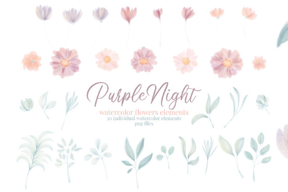Watercolor Flower Clipart Elements & Illustrations