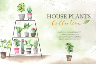 Watercolor House Plants Collection Illustrations