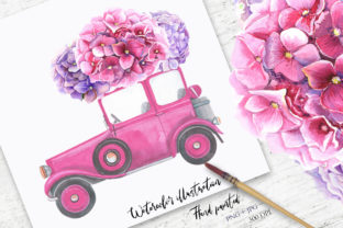 Watercolor Hydrangea Illustration Review