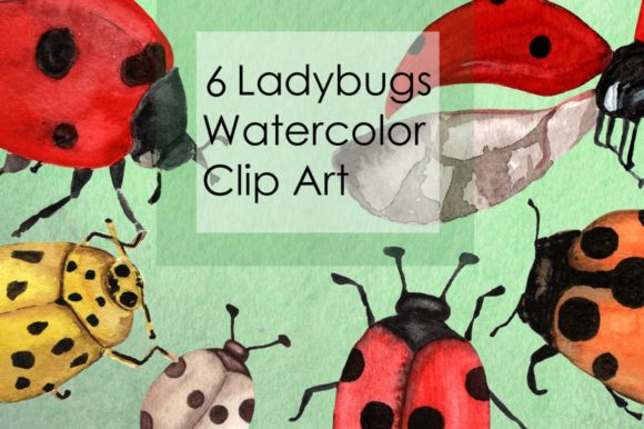 Watercolor Ladybugs Clip Art & Illustrations
