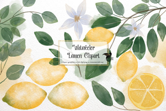 Watercolor Lemons Clipart & Illustrations