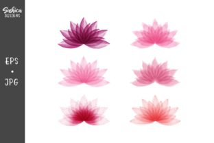 Watercolor Lotus Flowers Illustrations Review