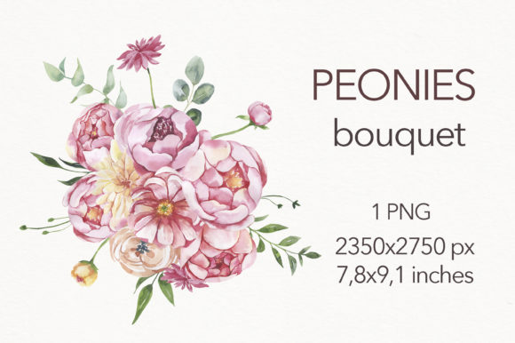 Watercolor Peonies Bouquet Clipart & Illustrations