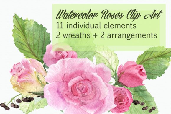 Watercolor Roses Clip Art & Illustrations