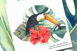 Watercolor Tropical Illustration I: A Designer Review