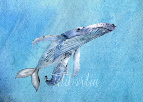 Watercolor Whales Clip Art Print & Illustrations